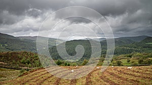 Landscape image of view from Precipice Walk in Snowdonia overlooking Barmouth and Coed-y-Brenin forest during rainy afternoon in