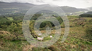 Landscape image of view from Precipice Walk in Snowdonia overlooking Barmouth and Coed-y-Brenin forest during rainy afternoon in