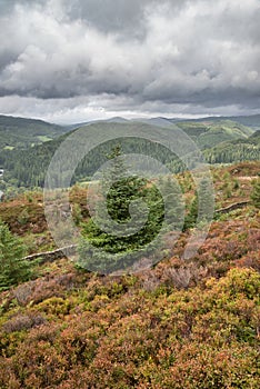 Landscape image of view from Precipice Walk in Snowdonia overlooking Barmouth and Coed-y-Brenin forest during rainy afternoon in