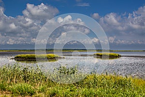 Landscape image of the wetlands at Bombay Hook Wildlife Refuge NWR.