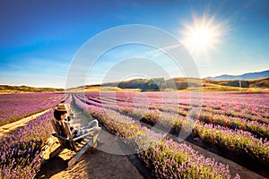 Landscape image of a young tourist sits and enjoying the sunshine at Lavender Farm