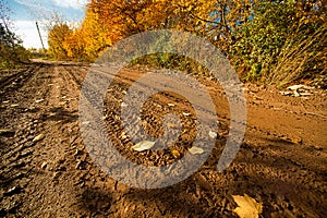 Landscape with impassable autumn road with tire tracks