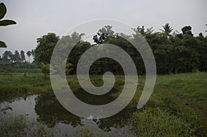Landscape background in Asia photo