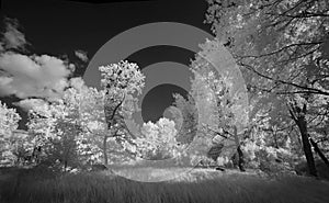 Landscape in infrared light