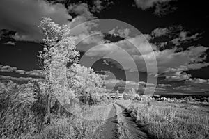 Landscape in infrared light