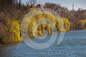 Ingulets river at springtime