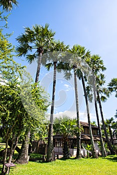 Landscape of Intharawat temple