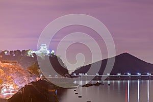 Landscape of inuyama city view with kiso river in night