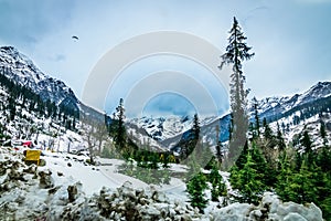 A landscape involving snow capped valley with pine trees and mountains.Paragliding going on