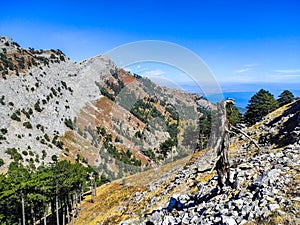 Landscape on the Ipsarion or Ypsarion mountain in Thassos , Greece