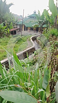 Landscape irigation at mountain cisalak west java