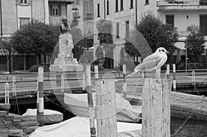 Landscape on Iseo lake