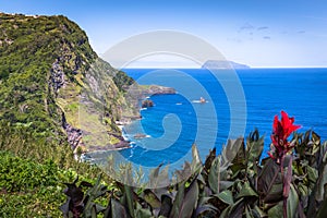 Landscape of the island of Flores. Azores, Portugal photo