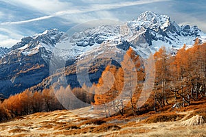 Landscape of the Italian Alps in autumn with brown larch trees and snowcapped mountains, photo