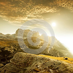 Landscape Italy, Dolomites - at sunrise spotted horse grazing alone on the rocks