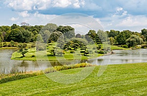 Summer Landscape on sunny day of Japanese Island in Chicago Botanic Garden.