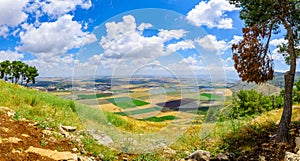 Landscape of the Jezreel Valley from Mount Gilboa