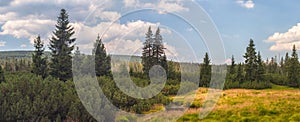 Landscape - Jizerky bog, Czech republic photo