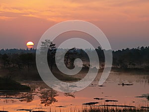 Landscape of Kakerdaja Bog