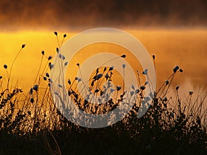 Landscape of Kakerdaja Bog