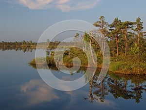 Landscape of Kakerdaja Bog