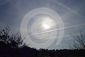 Landscape at the Kalmthoutse Heide
