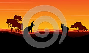 Landscape kangaroo silhouette at the sunset