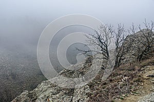 Landscape of Karadag Reserve in spring. View of trees on mountain in fog and clouds. Crimea