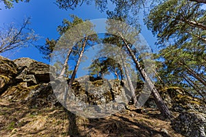 Landscape in Karelia. Rocks and pines on the edge of the cliff. Damn chair in Petrozavodsk.