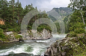 Landscape with Katun river of turquoise color in the pre-storm weather in the Mountains Altai with forest on the rocks