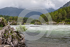 Landscape with Katun river of turquoise color in the pre-storm weather in the Mountains Altai with forest on the rocks