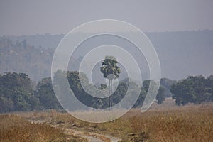 Landscape of Khivni or Kheoni Wildlife Sanctuary Dewas District, Madhya Pradesh, India