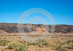 Landscape in the Khomas highlands in Namibia