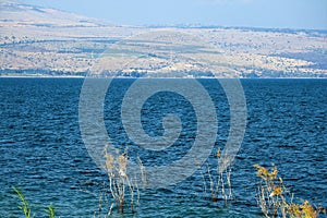 Landscape in the Kineret lake (Sea of Galilea), Tiberias, Northern Israel photo