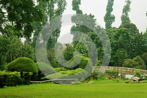 A landscape of the kodaikanal hill chettiar park.