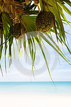 Landscape of Koh Lanta Klong Nin beach