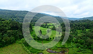 Landscape in Konkan photo