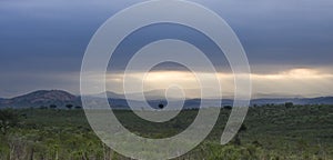 Landscape, kruger bushveld, Kruger national park, SOUTH AFRICA