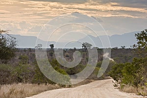 Landscape, kruger bushveld, Kruger national park, SOUTH AFRICA