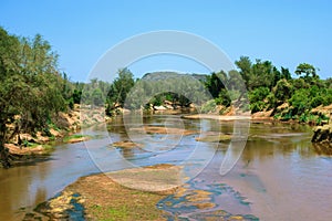 Landscape of the Kruger National Park in South Africa.