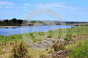 Landscape of the Kruger National Park in South Africa.