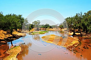 Landscape of the Kruger National Park in South Africa.