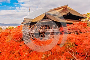 Landscape of Kyoto in autumn