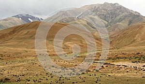 Landscape of Kyrgyzstan