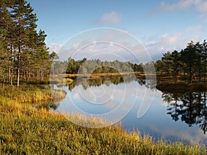 Landscape of KÃµnnu Suursoo