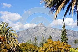 Landscape with La Concha mountain in Marbella photo