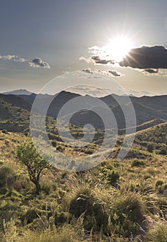 Landscape in La Font del Llop of Monforte del Cid