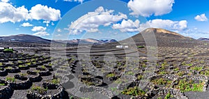 Landscape with La Geria vineyards region, Lanzarote