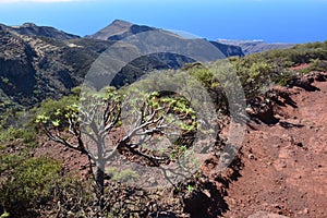 A landscape of La Gomera island , the Canaries