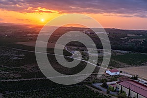 Landscape of La Rioja at sunrise, El Cortijo, Spain